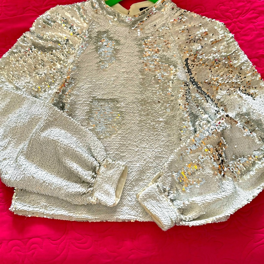 Silver Sequin Top
